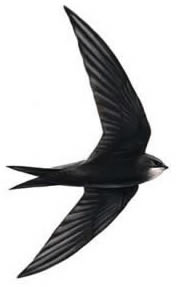 Home Page Image